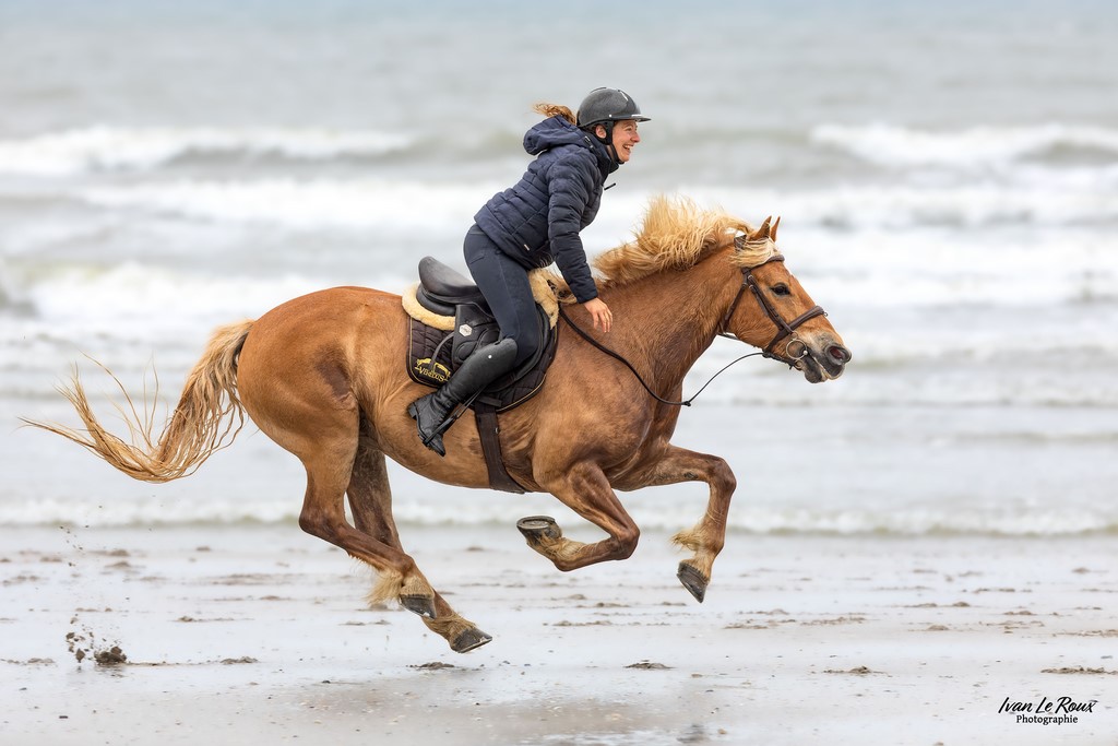 Au galop sur la plage de Merville-Franceville (14) - Jessica - 2023 -Canon EOS R7 -  Sigma 500 mm F/4 OS HSM SPORT   1/1600s, f/7.1 ISO 800  Priorité Ouverture​