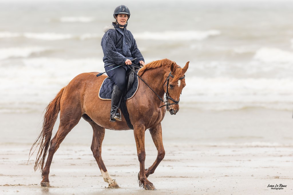 Plage de Merville-Franceville (14) - Alexandra - 2023 -Canon EOS R7 -  Sigma 500 mm F/4 OS HSM SPORT Ivan Le Roux Photographie