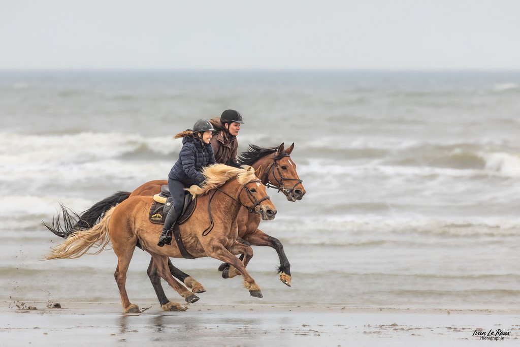 Galop sur la plage de Merville-Franceville - Jessica et Déborah -  Romilly-la-Puthenaye (27) - 2023 - Canon EOS R7 -  Sigma 500 mm F/4 OS HSM SPORT Ivan Le Roux Photographe