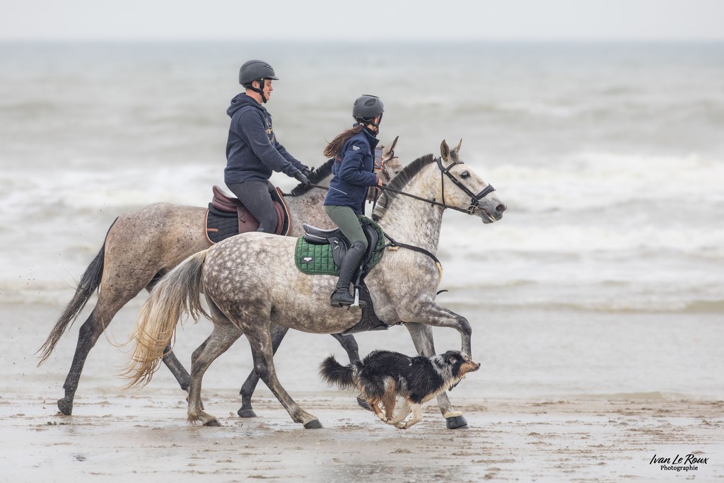 Plage de Merville-Franceville - Méline et Tom -  Romilly-la-Puthenaye (27) - 2023 - Canon EOS R7 -  Sigma 500 mm Ivan Le Roux Photographie