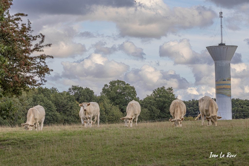Château d'Eau de la Noé de Bougy - Romilly-La-Puthenaye (27)