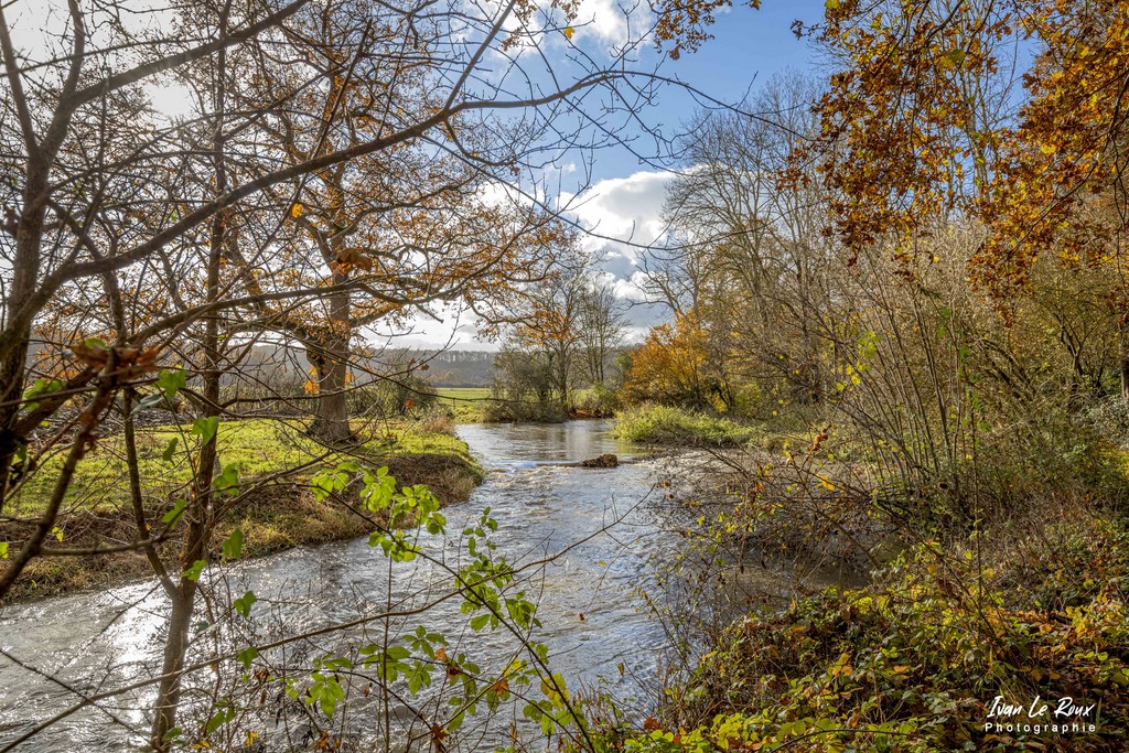 Bord de Risle (27)  - 2021 - Ivan Le Roux