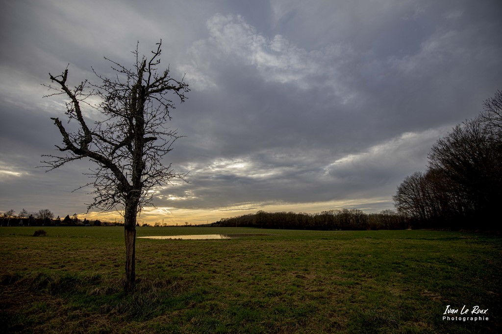 fin de journée Romilly-La-Puthenaye (27)