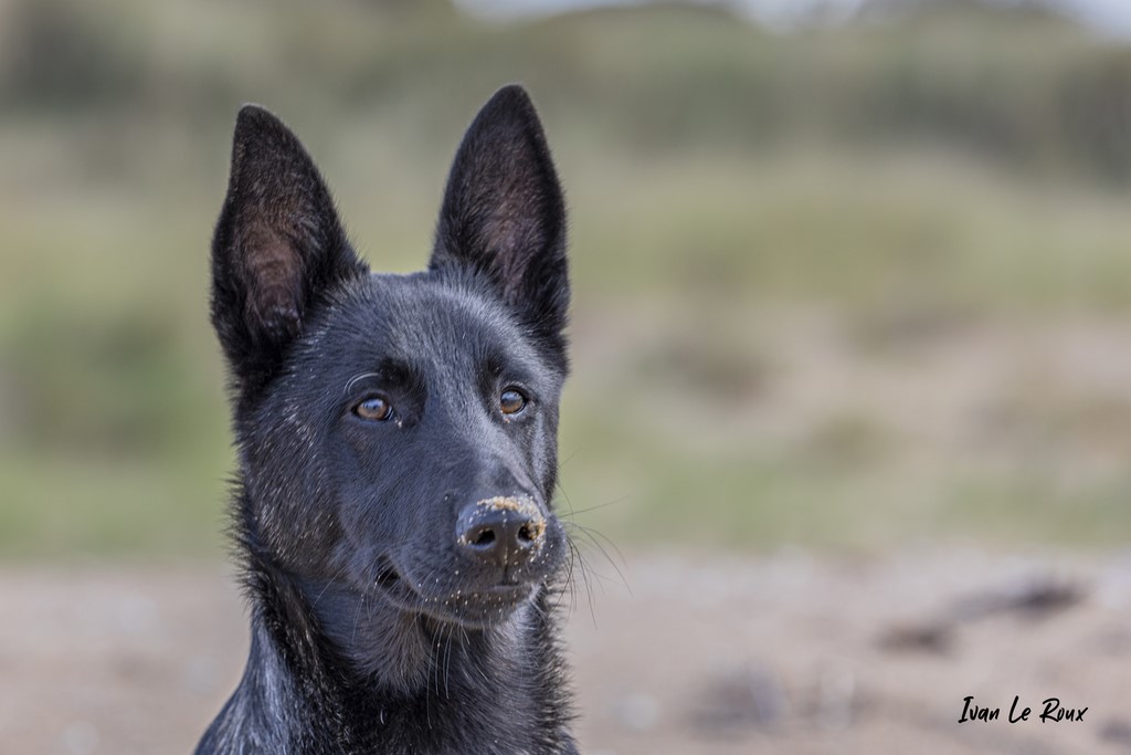 Raisa sur la plage - 2021