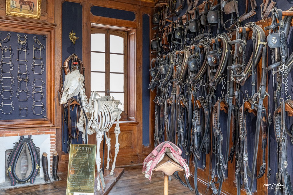 Sellerie du Haras national du Pin (61) - 2023 -Canon EOS 5D Mark IV, EF 16/35mm f/4L IS USM Ivan Le Roux photographe Normandie Orne