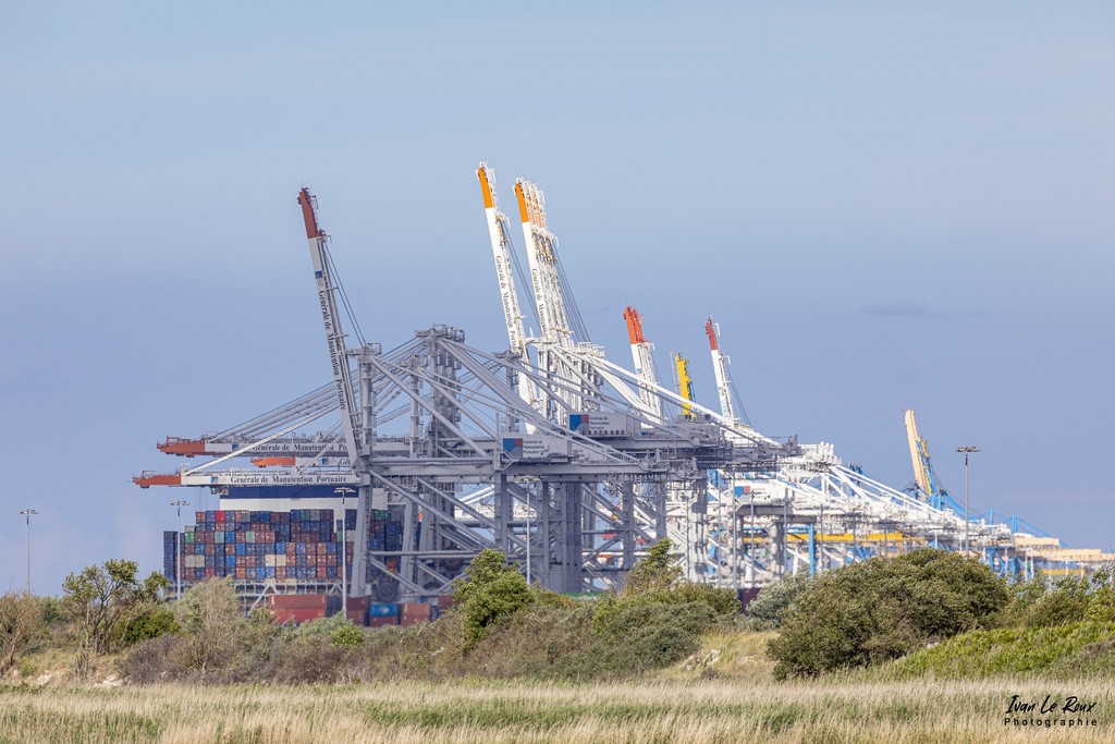 Port du Havre - Estuaire de la Seine (76) - 2022 - Canon EOS 5D Mark IV, Sigma 500 mm F/4 OS HSM SPORTS 500 mm, 1/250s, f/10 ISO 800  Priorité Ouverture Ivan Le Roux Photo Port 2000