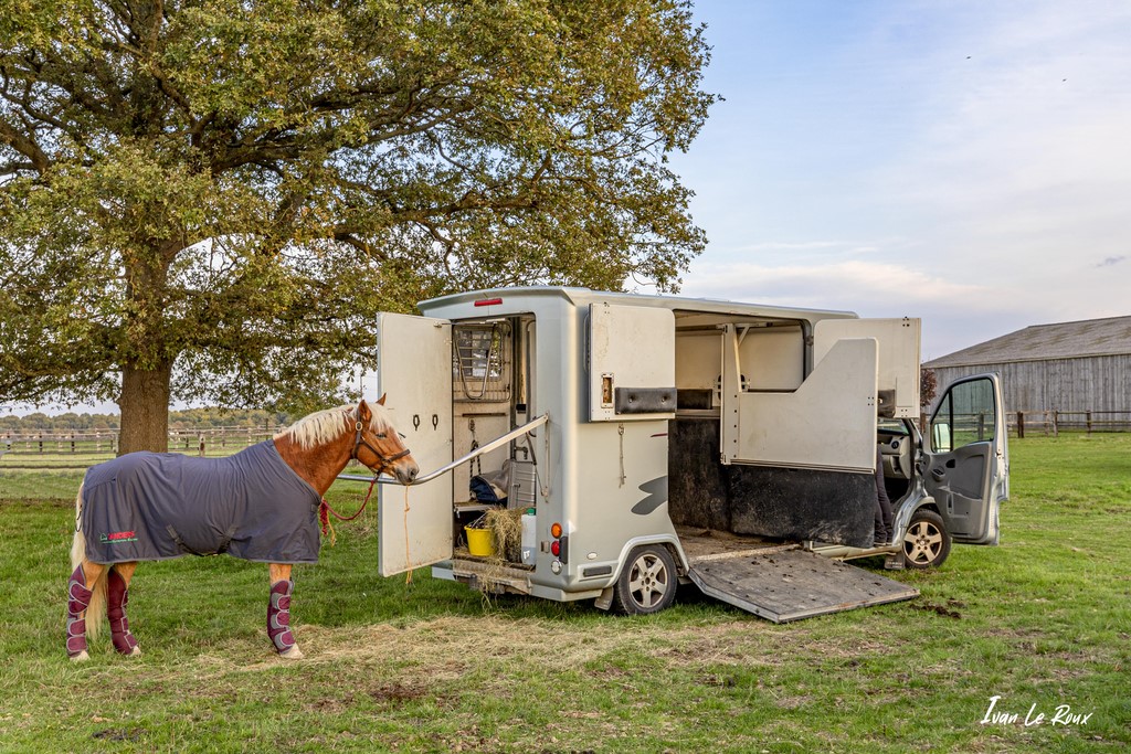 Candy Schirley et camion