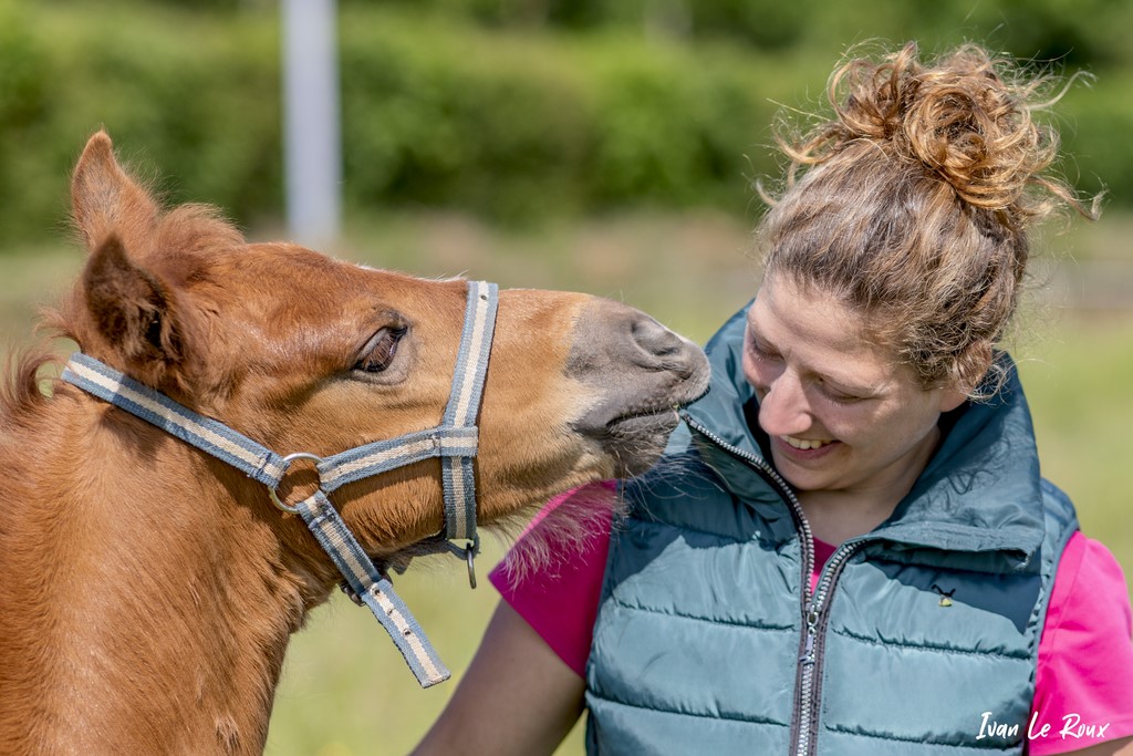 Jessica & son poulain "Lemon Tonic" haflinger croisé Selle français (1 mois)  - 2021 - Normandie Orne Ivan Le Roux photographe