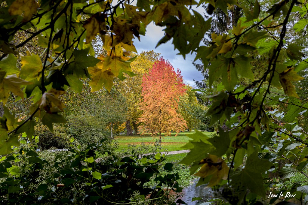 Fenêtre végétale - Parc et jardin du Château d'Acquigny (27)