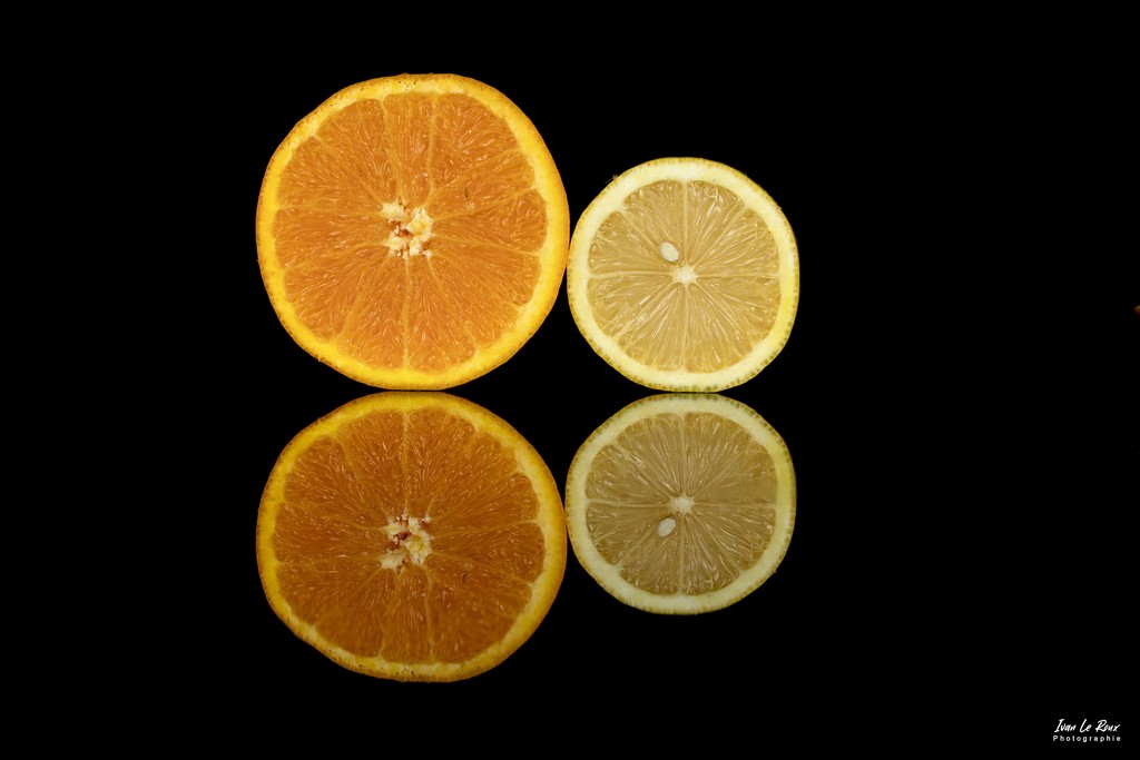 Orange ou Citron ? - 2022 - Canon EOS 5D Mark IV, Sigma 105mm F2.8 EX DG OS HSM, 105 mm, 1/160s, f/10 ISO 100  Priorité Ouverture