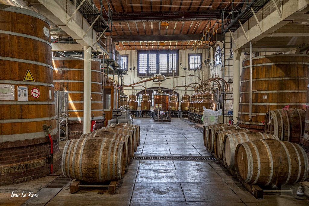 Salle de distillation Palais Bénédictine de Fécamp (76) - 2021