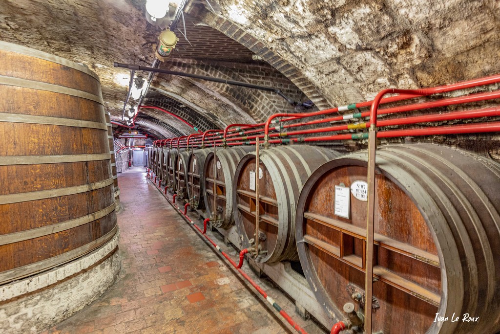 Cave du Palais Bénédictine de Fécamp (76) - 2021