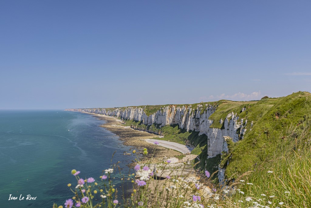 Cap Fagnet - Fécamp (76) - 2021