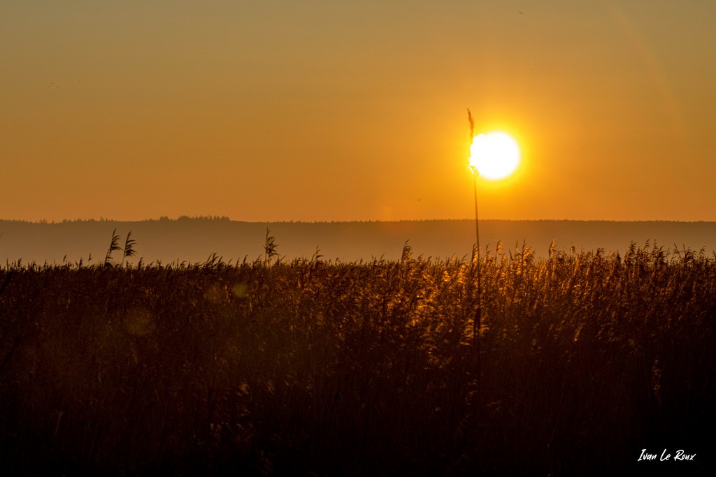 Couché de soleil sur le Marais de l'Estuaire de la Seine