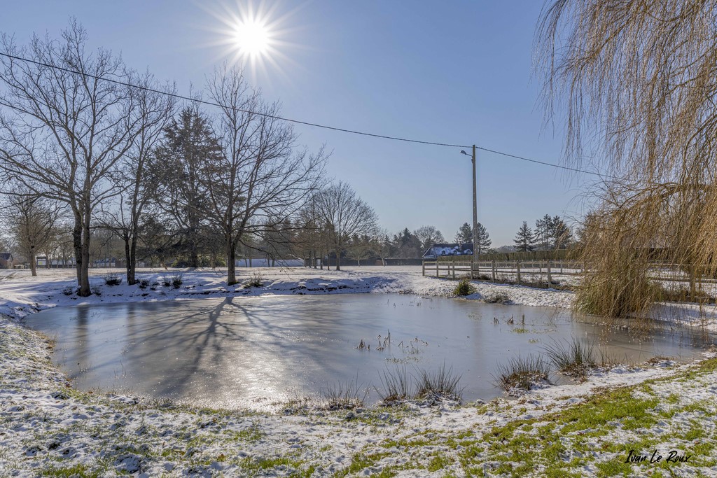 Mare de la Noé de Bougy - Romilly-La-Puthenaye (27) - 2021