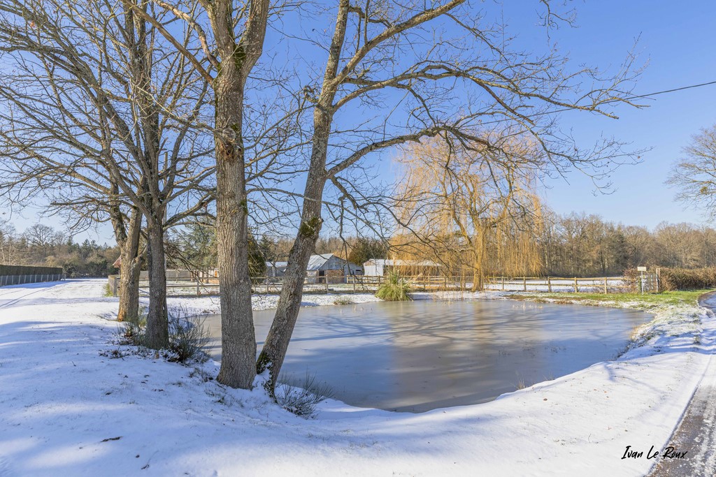Mare de la Noé de Bougy - Romilly-La-Puthenaye (27) - 2020
