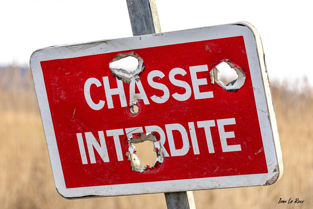 Chasseurs respectueux de la réglementation !