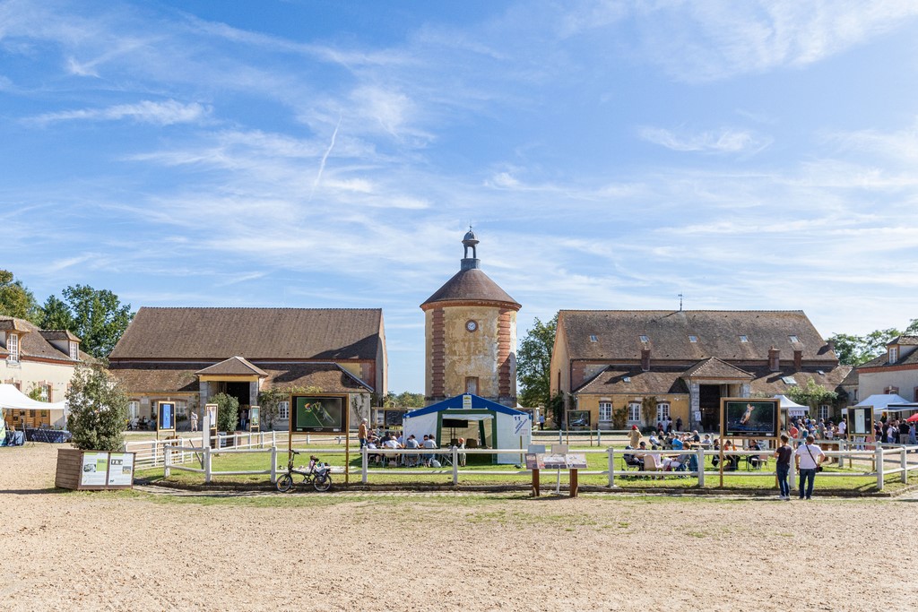 bergerie nationale rambouillet festiphoto