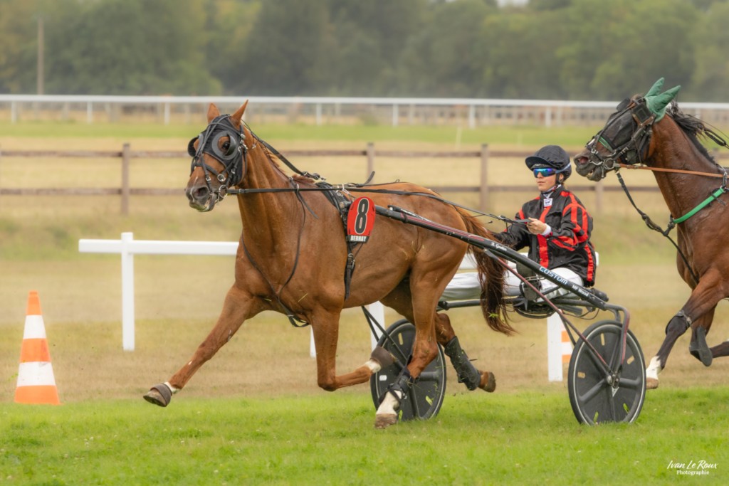 "Irwin Star" - Course hippodrome de Bernay (27) - 2025 - Ivan Le Roux Photographie Normandie