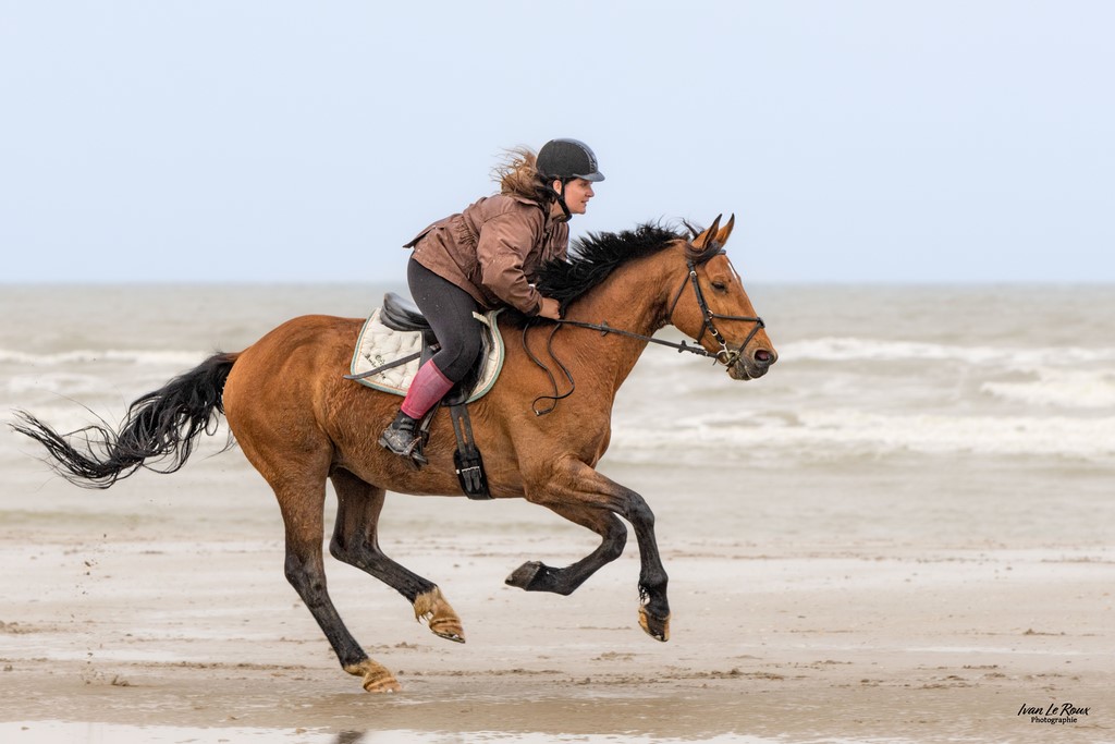 Au galop sur la plage de Merville-Franceville - Déborah -  Romilly-la-Puthenaye (27) - 2023 - Canon EOS R7 -  Tamron SP 70-200 G2  Ivan Le ROux Photographie calvados