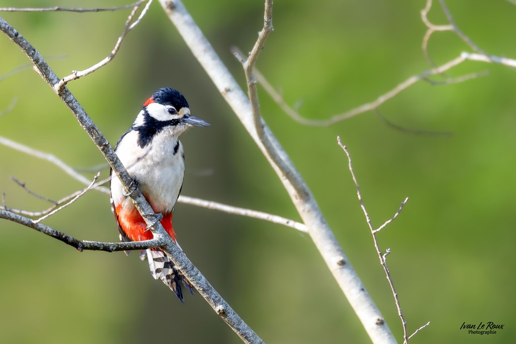 Construction  du site en image