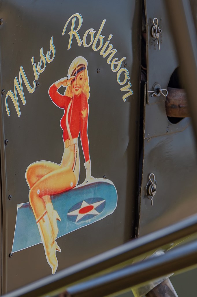 75e anniversaire du Débarquement allié et de la Bataille de Normandie