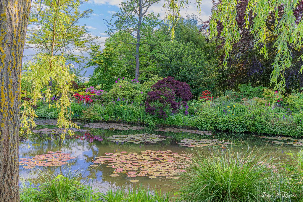 Jardin de Claude Monet - Giverny (27)