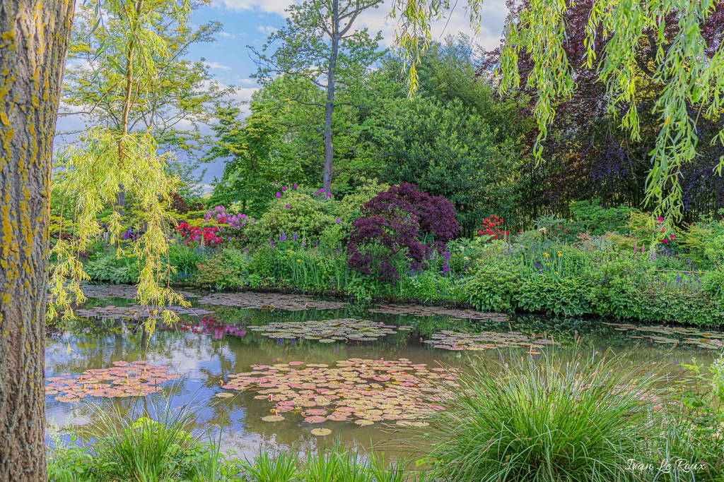 Jardin de Claude Monet - Giverny (27)