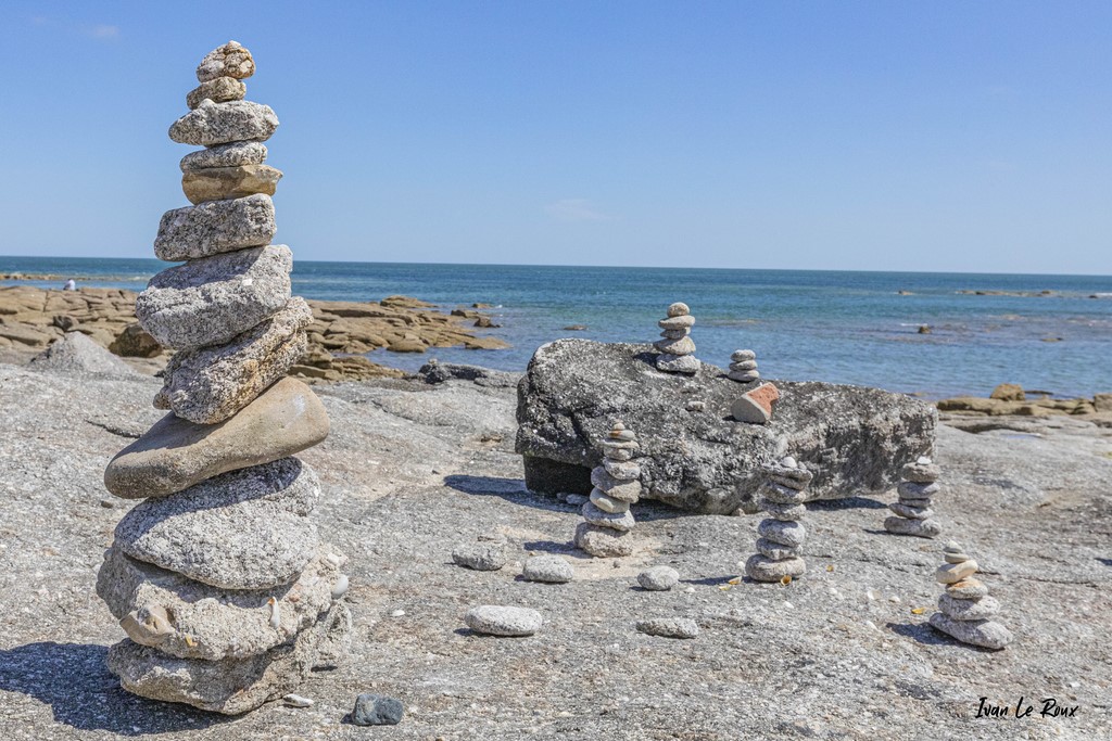 Cairns - Manche (50)