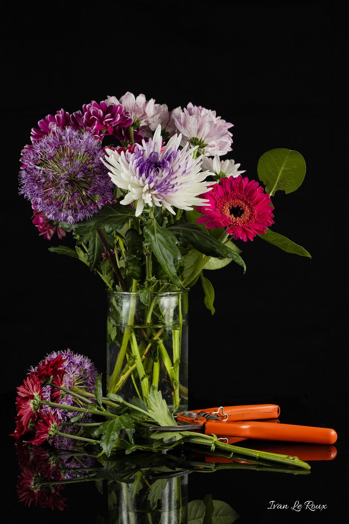 Bouquet de fleurs coupées