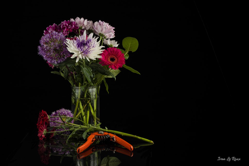 Bouquet de fleurs coupées