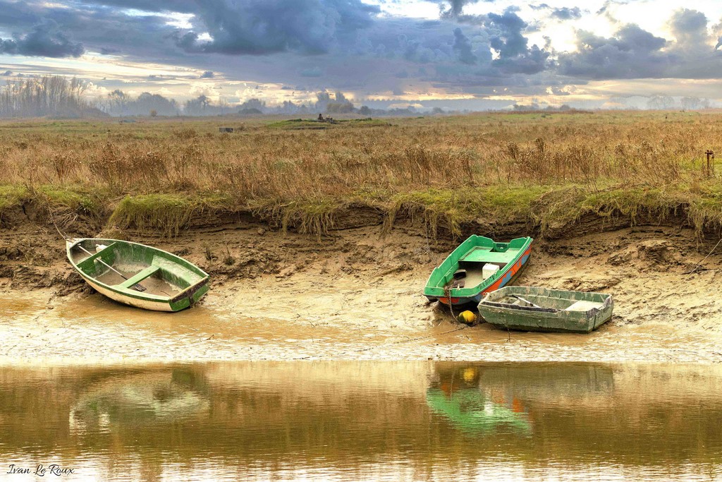 BAIE DE SOMME (80) - 2019 