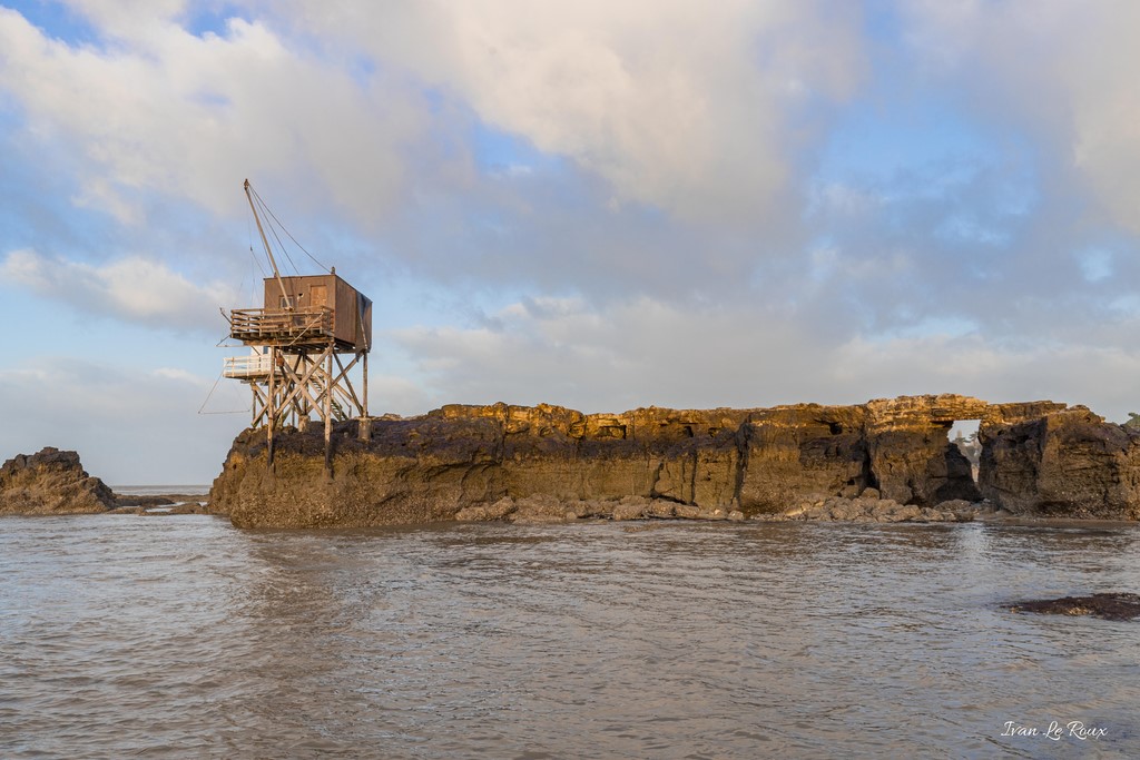 Saint-Palais-sur-Mer (17) - 2019