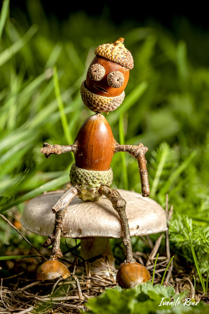 Le "Petit Glandu" - 2020