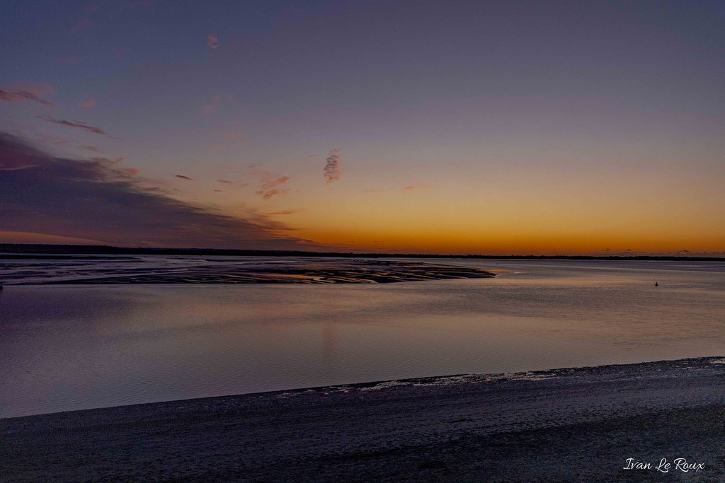 BAIE DE SOMME (80) - 2019 
