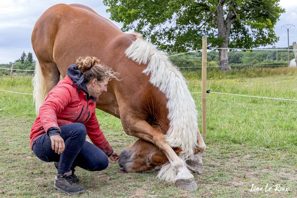 Complicité entre Candy et Jessica