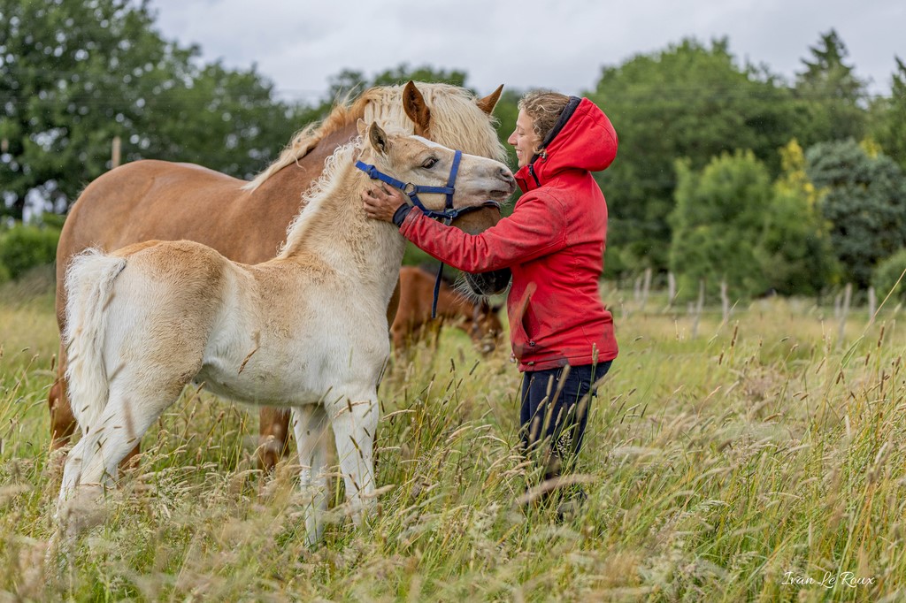 Basane, Kasanova et Jessica