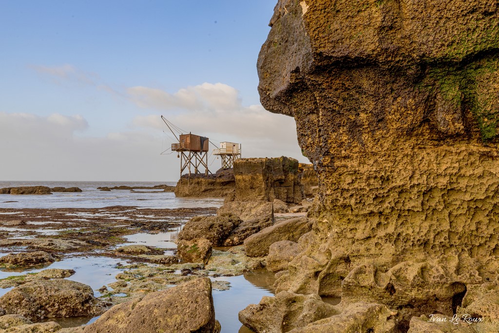 Saint-Palais-sur-Mer (17)