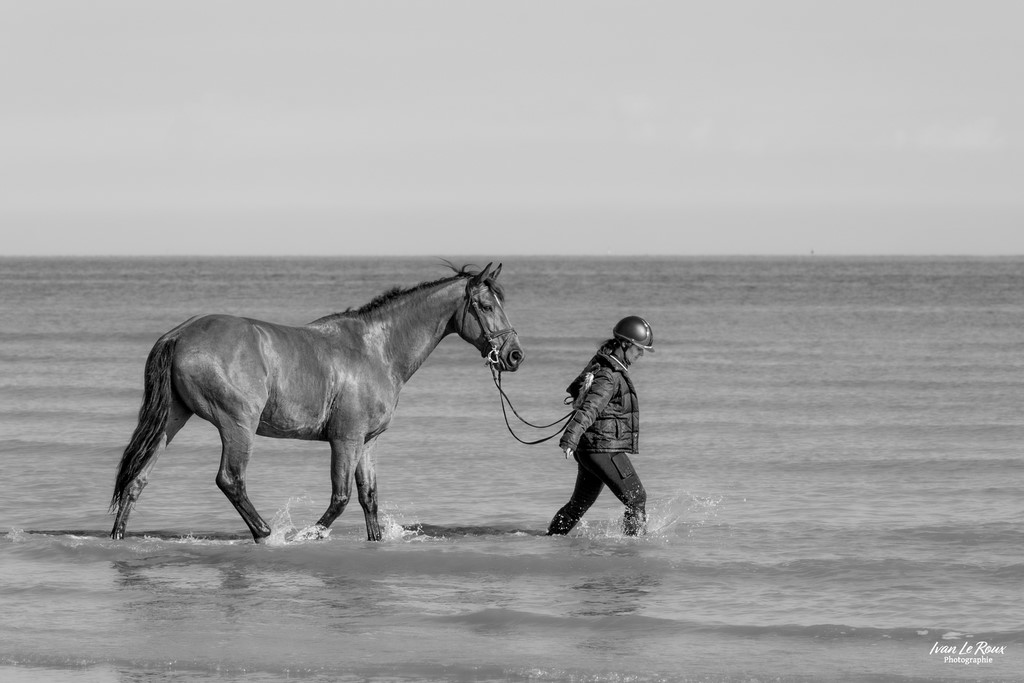 Promenade dans l'eau - Merville-Franceville (14) Ivan Le Roux Photographie