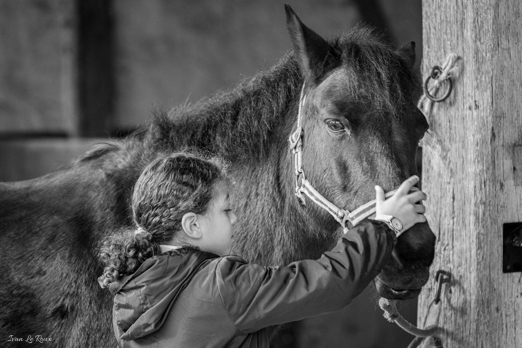 MAELIA - Club Equestre de Verneuil-sur-Avre -  2019