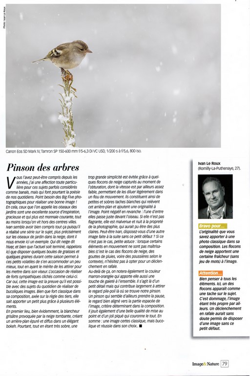 Image & Nature n°116 (15 avril - 15 juin 2021) Page 79