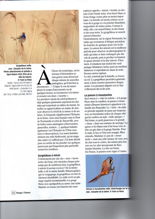 Image & Nature n°132 Les enfants du marais article page 64