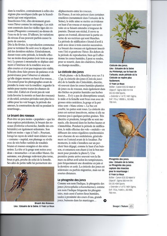 Image & Nature n°132 Les enfants du marais article page 65
