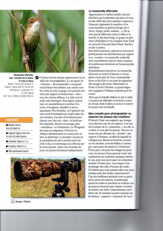 Image & Nature n°132 Les enfants du marais article page 66