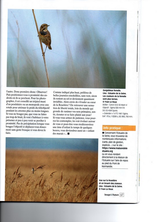 Image & Nature n°132 Les enfants du marais article page 67