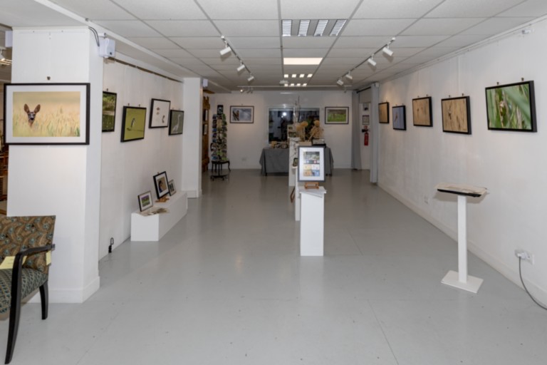 Ivan le roux Beaumont-le-Roger exposition faune normande