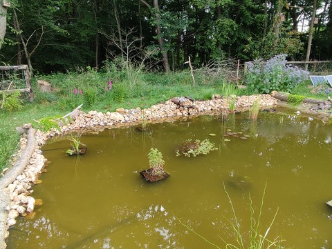 Le site construction en image