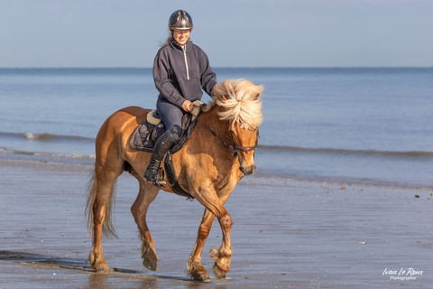 Promenade sur la plage - Merville-Franceville (14) - 2024 - Ivan Le Roux Photographie