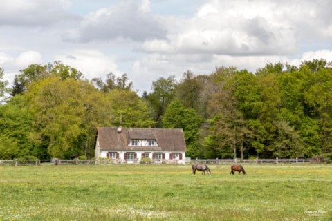 Romilly-La-Puthenaye (27) - 2024 - la Noé de Bougy