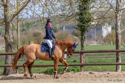 Alexandra LE ROUX CSO équitation avec Quick Boy